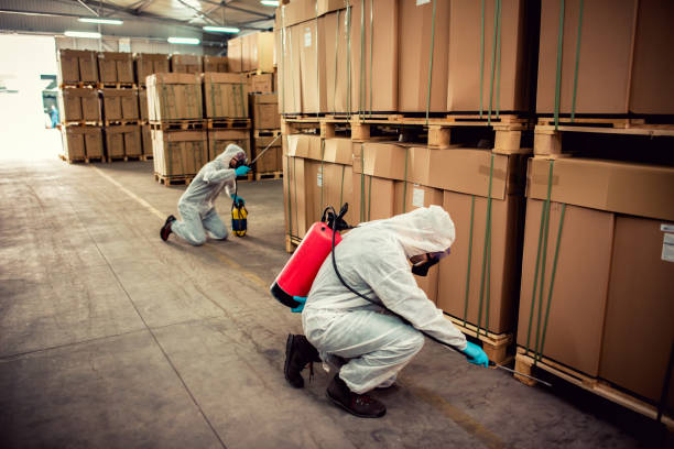 Best Residential Pest Control  in Homeland, CA