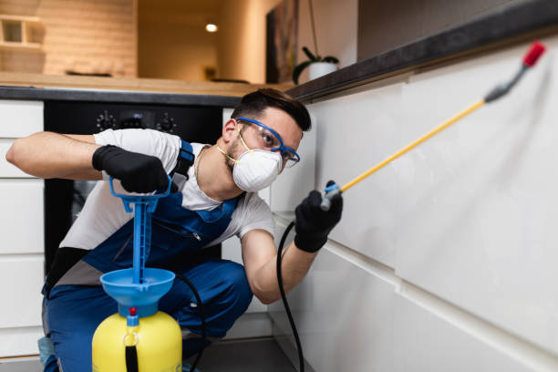 Best Affordable Pest Control Services  in Homeland, CA