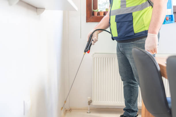 Best Affordable Pest Control Services  in Homeland, CA